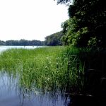 Touisset Wildlife Refuge, Warren