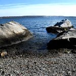 Pokanoket Sachem Dancing Star tells the story of the Three Sisters